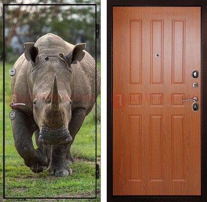 Металлическая дверь с фотопечатью носорога ДФ-31 в Пушкино