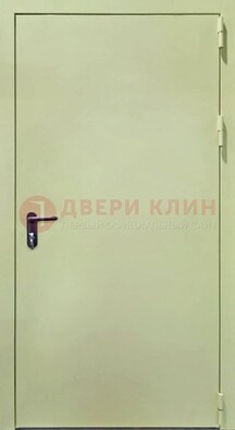 Светлая противопожарная дверь ДПП-22 в Пушкино