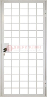 Белая металлическая решетчатая дверь ДР-2 в Пушкино