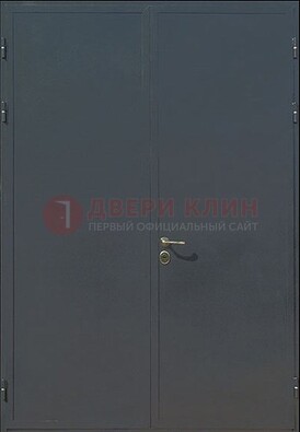 Двухстворчатая техническая дверь ДТ-5 в Пушкино