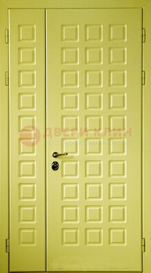 Салатовая тамбурная дверь ДТМ-28 в Пушкино